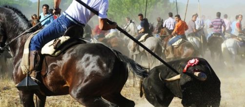 Andisturbios, jinetes y un helic&oacute;ptero de la Guardia Civil ... - elconfidencialautonomico.com