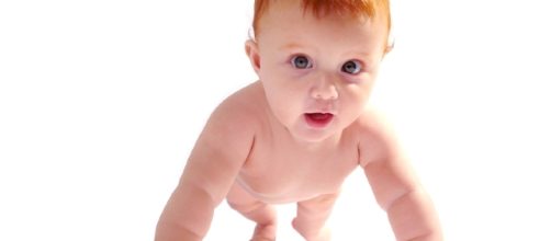 Demand for redheaded donors is rising - via michael.glikste, flickr