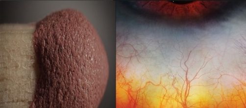 veja as curiosidades desses imagens com super zoom