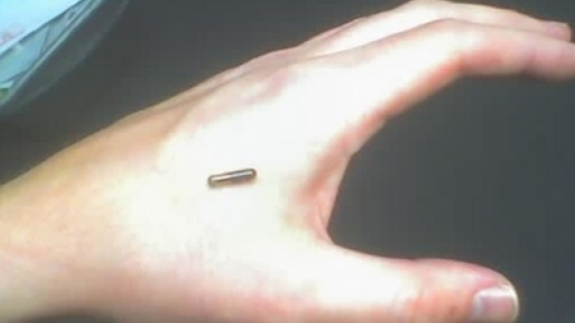 Al lavoro con il chip sottopelle, il caso belga fa discutere ... - tomshw.it