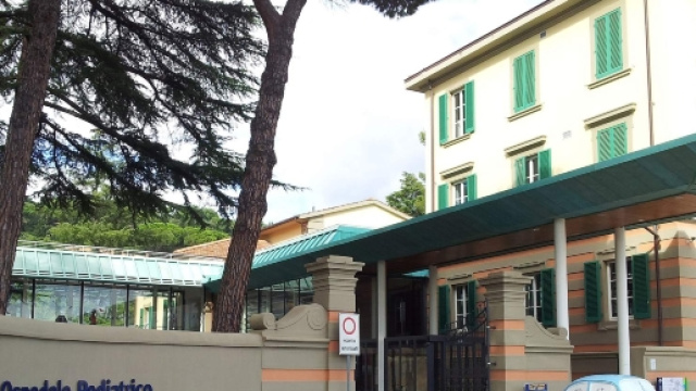 Bambina di 12 anni ricoverata all'ospedale pediatrico Meyer di Firenze ustionata dopo una 'cura' antipidocchi.