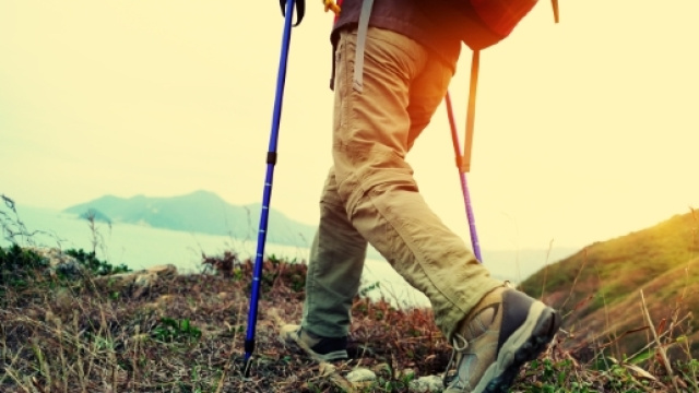 Zecche e vipere in montagna, cosa fare e come comportarsi