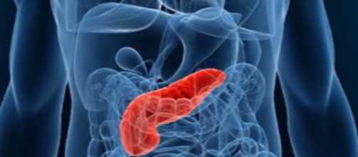 A picture of the pancreas - Lee Health via Vimeo