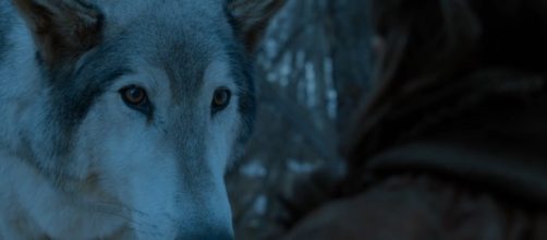 'Game of Thrones': Arya and Nymeria reunion. Screecap: GameofThrones via YouTube