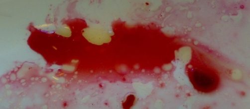 The body of Gabriel Cummins was discovered in a lake/Photo via Stella Dauer, Flickr