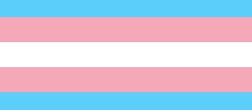 The transgender flag (Image credit: Transgender Flags via Wikipedia)