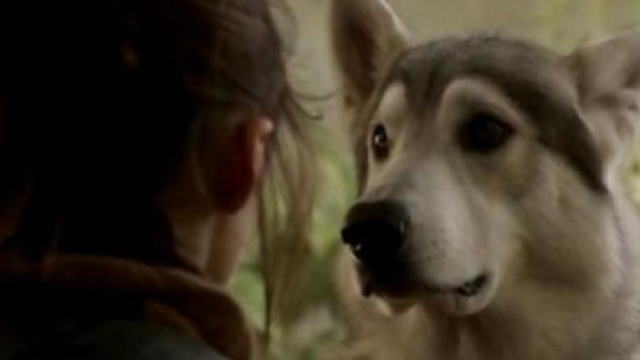 Game of Thrones : La r&eacute;union tant attendue nous laisse sur un myst&egrave;re...