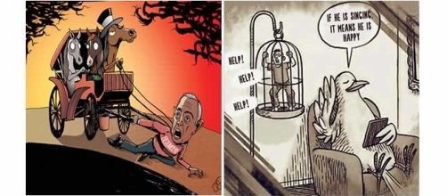 Animais fazendo atividades humanas. ( Imagem: Reprodu&ccedil;&atilde;o)