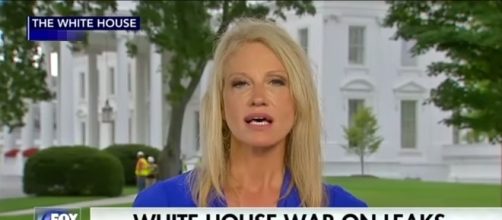 Kellyanne Conway on Fox News, via YouTube
