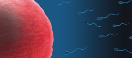 Study reveals that Sperm count in western men is on the decline / Photo via Zappys Technology Solutions, Flickr