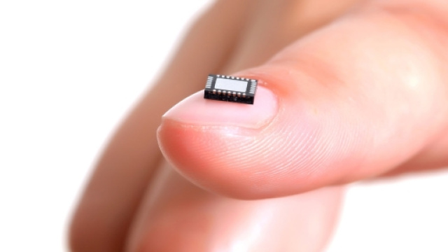 Esempio di microchip sottocutaneo.