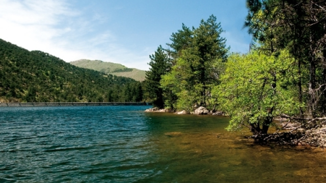 L'incidente mortale &egrave; avvenuto nel Parco delle Capanne di Marcarolo, area protetta tra la Liguria e il Piemonte.