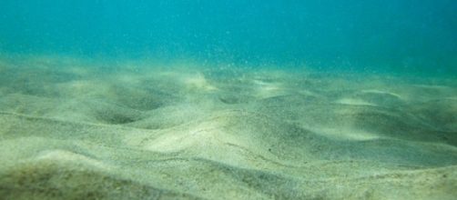 Researchers start their journey to solve the mystery of the lost continent of Zealandia [Image:Pixabay]