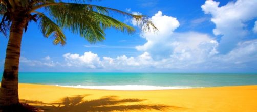 "Bachelor in Paradise" image (Photo Credit: LostIslandWine via Flickr.com)