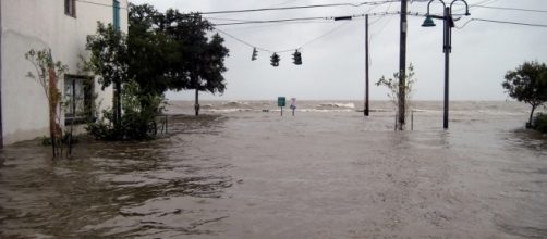 Flood in old Mandeville, LA, 2008 (Image Credit: Tobin/ flickr)