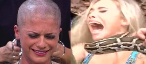 Muitas vezes as panicats precisam se submeter a brincadeiras bizarras (Foto: Reprodu&ccedil;&atilde;o/ Montagem)