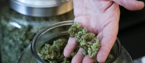 Nevada to become fifth state to legalize recreational marijuana ... - aol.com