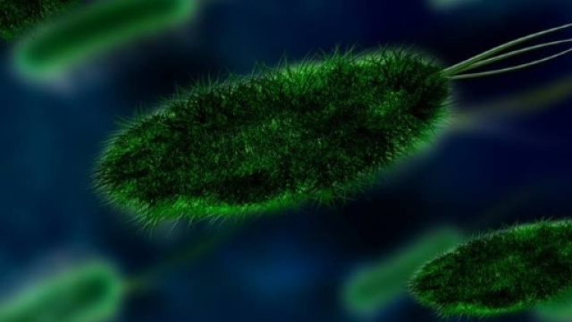 Epatite A, manca il vaccino: vacanze a rischio?