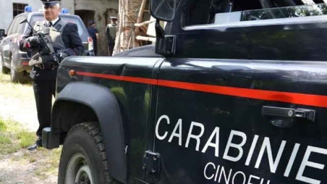 Maxi retata dei carabinieri, arrestati 116 'ndranghetisti