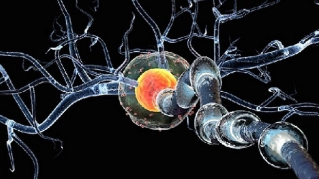 Nuovi farmaci contro la Sclerosi Multipla (SMPP; SMRR) stanno danno risposte positive in vari studi clinici.