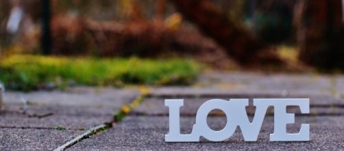 Free photo: Valentine'S Day, Love, Romance - Free Image on Pixabay ... - pixabay.com