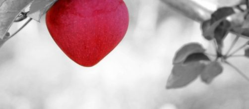 Love - Free images on Pixabay - pixabay.com