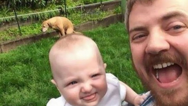 Il piccolo sorride con il pap&agrave; mentre il cagnolino &egrave; impegnato in altre faccende