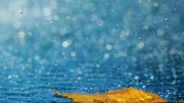 Previste piogge per la settimana prossima a Nord