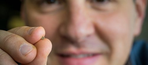 Microsoft successful runs AI on a $10 Raspberry Pi3 microcomputer.