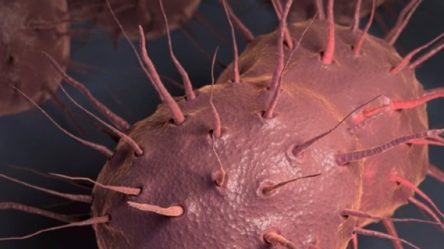 La gonorrea &egrave; pi&ugrave; forte degli antibiotici