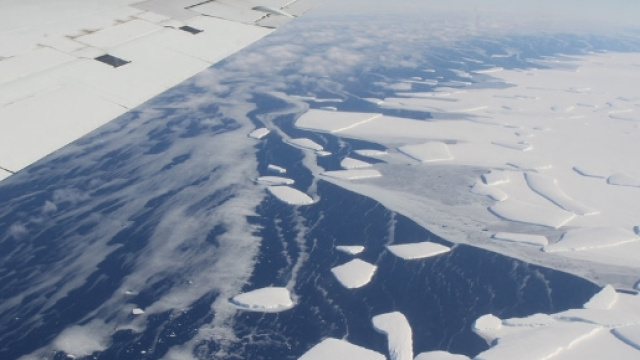 Why you should care about the Larsen C ice-shelf &mdash; The Daily Campus - dailycampus.com