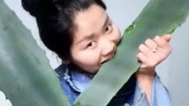 Zhang, giovane vlogger cinese si avvelena in diretta addentando l'agave americana al posto dell'aloe vera