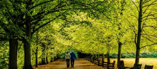 Cuidar al medio ambiente es cuidar la salud | Discovery - discovery.com