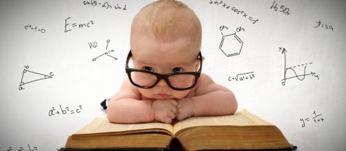 Estudando de maneira inteligente (Foto: Reprodu&ccedil;&atilde;o)