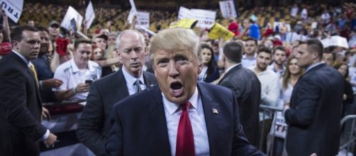 Polls suggest Americans warming to Trump, but with reservations ... - mprnews.org