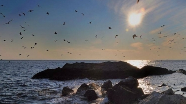 Oroscopo della settimana | previsioni settimanali da luned&igrave; 10 a domenica 16 luglio 2017: previsioni, voti e giorni 'ok'