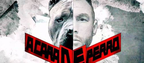 Ver A cara de perro online en castellano, latino y vose | Seriesblanco - seriesblanco.com