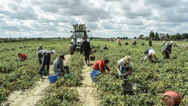 Lotta contro il caporalato, sequestrati beni in Sicilia e sentenza choc in Molise