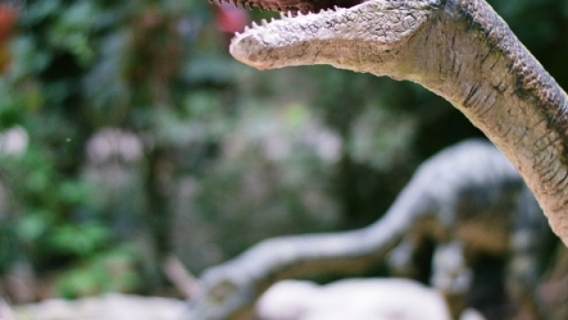 Si rischia un'estinzione simile a quella dei dinosauri.