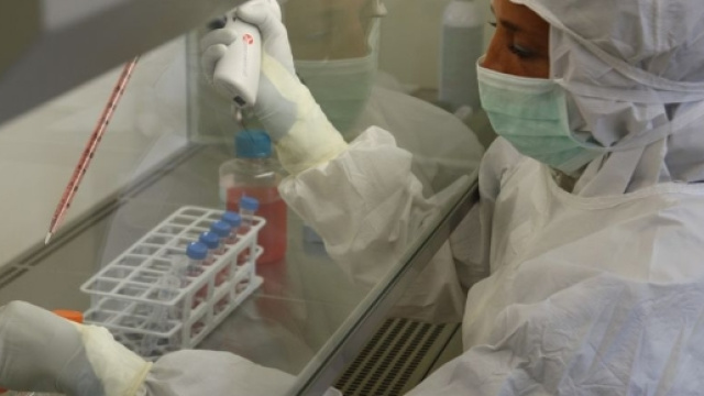 Tumori e ricadute: continua la ricerca sui vaccini - forlitoday.it