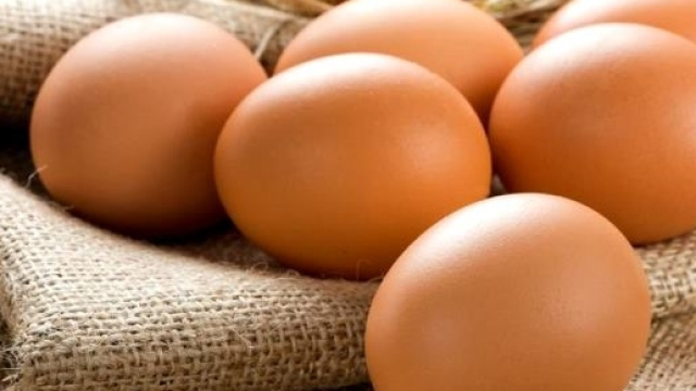 Un uovo al giorno combatte l'insorgenza della sindrome metabolica.