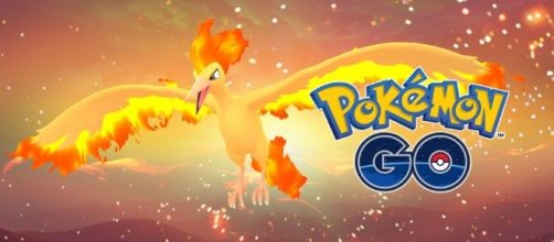 Another strong Legendary Moltres defeated, see what was done for the catch pixabay.com