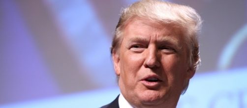 Donald Trump the POTUS via Flickr