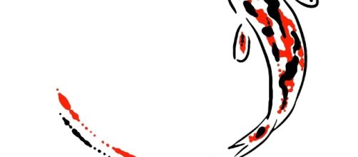 Image gratuite sur Pixabay - Poisson, Carpes Koi, Carpe | Koi ... - pinterest.com