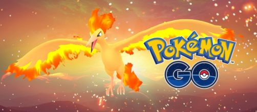 The Legendary Pok&eacute;mon Moltres has been spotted in Pok&eacute;mon GO! Facebook/Pokemon GO