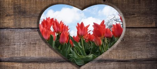 Wooden, Heart - Free images on Pixabay - pixabay.com