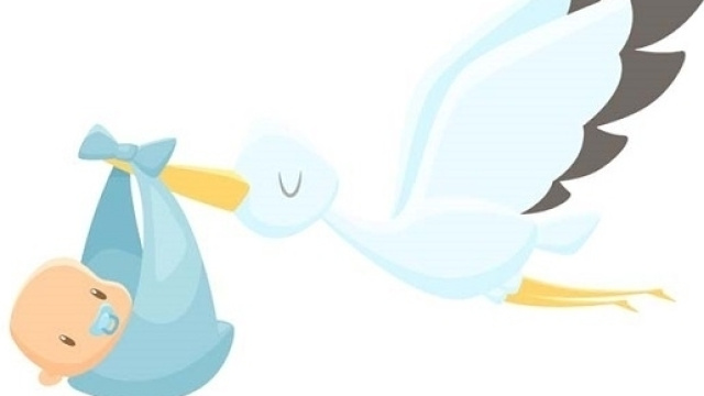 Bonus Cicogna INPS: chi pu&ograve; fare richiesta