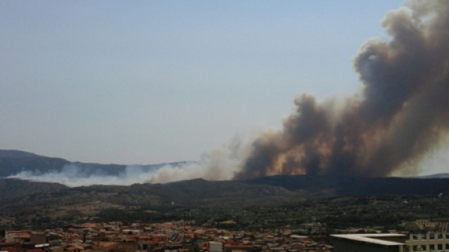 Incendio ad Arbus (photo credit: sardiniapost.it)