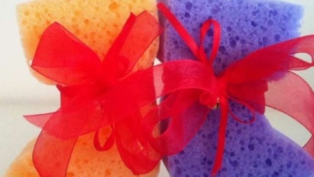 Lavoretti con le spugne da cucina da fare con i bambini [FOTO ... - nanopress.it