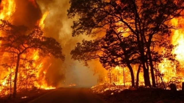 Tutta l'Italia va in fiamme: il web chiede aiuto